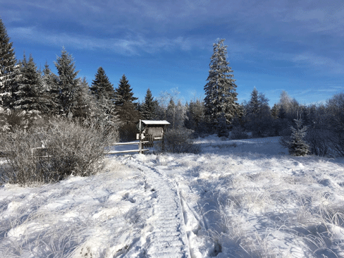 Hohes Venn im Winter